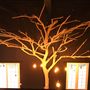 Decorative objects - driftwood tree - DECO-NATURE
