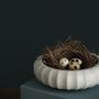 Ceramic - KRUM jug and GRANDMOTHER urchin bowl - MENT