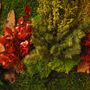 Paintings - VF  Jungle Square Moss Art Wall Collection - VIVA FLORA