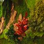 Paintings - VF  Jungle Square Moss Art Wall Collection - VIVA FLORA