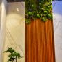 Decorative objects - Preserved Bonsai Trees - VIVA FLORA