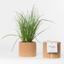 Other smart objects - Grow Cork - LIFE IN A BAG