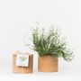 Other smart objects - Grow Cork - LIFE IN A BAG