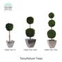 Objets design - Tenuifolium Trees (Balls) - VIVA FLORA