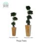 Objets de décoration - Thuja Trees Jumbo - VIVA FLORA