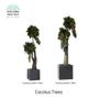 Objets design - Cocolus Trees - VIVA FLORA