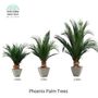 Decorative objects - Phoenix Palm Trees - VIVA FLORA