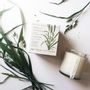Bougies - PLANT THE BOX - KOBO PURE SOY CANDLES