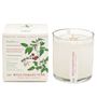 Bougies - PLANT THE BOX - KOBO PURE SOY CANDLES