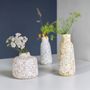 Vases - Capiz pulp vase and flower pots - KINTA