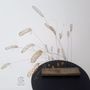 Decorative objects - Collection “wild reeds” - FLORENCE GOSSEC