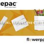 Cadeaux - Seau à glace & Vase pliable origami DECO - ICEPAC FLOWERPAC