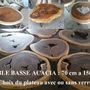 Tables basses - TBG Table basse collection bois acacia - DCAA