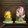 Décorations florales - Spiritual Gardens / Still Life - FLOWERS FOR ART - CHRISTINE RAMPANELLI