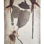 Other wall decoration - Printed Fabric Wall Art - Nymphaea Collection - EVOLUTION PRODUCT