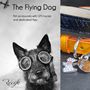 Pet accessories - The Flying Pet - RECIFE