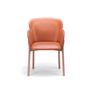 Armchairs - Ginger - TON A.S.