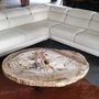 Coffee tables - PETRIFIED WOOD COFFEE TABLE - XYLEIA NATURAL INTERIORS