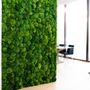 Other wall decoration - Custom made provence moss walls  - GREEN MOOD