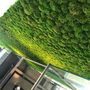 Other wall decoration - Custom made provence moss walls  - GREEN MOOD
