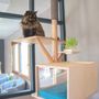 Design objects - Scandinavian cat tree with maisonnette - EDEN ET MITAINE