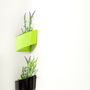 Other wall decoration - Modul'Green Gift, Wall Container  - GREEN'TURN