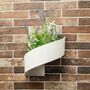 Design objects - Wall Flower Pot Modul'Green - GREEN'TURN
