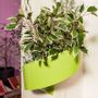 Other wall decoration - Modul'Green, gift - GREEN'TURN