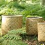 Pottery - Skinbamboo flowerpot - QUETZALES