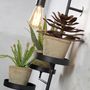 Wall lamps - Florence wall lamps with 3 plant holders - IT'S ABOUT ROMI