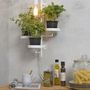 Wall lamps - Florence wall lamps with 3 plant holders - IT'S ABOUT ROMI