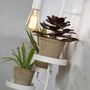 Wall lamps - Florence wall lamps with 3 plant holders - IT'S ABOUT ROMI