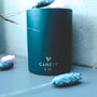 Candles - Winter Collection 2020 - CANDLY&CO.