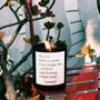 Candles - Collection of basic candles - Quotes - CANDLY&CO.