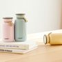 Travel accessories - 330 ml insulated stainless steel bottle - Bottle Latte/Mosh collection! - ABINGPLUS