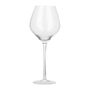 Stemware - Stemware Lead free Crystal - Wine Glass  - SHAZE LUXURY RETAIL PVT LTD