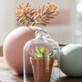 Decorative objects - ROSE BOHEMIEN - JOLIPA