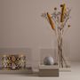 Decorative objects - Decorative setup by Mojoo - MOJOO