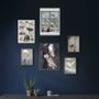 Poster - Birds collection - KOUSTRUP & CO