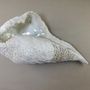 Ceramic - FLYING FISHES and SHELLS - MALIFANCE