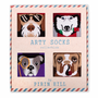 Chaussettes - Arty Chaussettes Dogs - PIRIN HILL