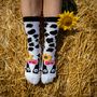 Socks - Arty Socks Farm - PIRIN HILL