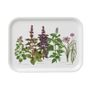 Kitchen utensils - TRAY 20X27 - HERBS - KOUSTRUP & CO