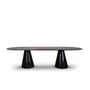 Dining Tables - BERTOIA OVAL DINING TABLE - INSPLOSION