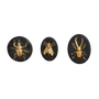 Decorative objects - SET OF 3 INSECTS - EMDE