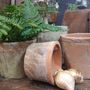 Floral decoration - RAW EARTH RANGE “TERRACOTTA” - FYDEC COLLECTION