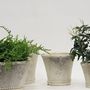 Floral decoration - NATURAL CONTAINERS - FYDEC COLLECTION