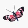 Other wall decoration - Longwing Butterfly - STUDIO ROOF