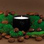 Decorative objects - SCENTED CANDLE - CHESTNUT - TASTE - LUMINOSENS