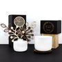 Decorative objects - SCENTED CANDLE - AMBER - TOUCH - LUMINOSENS